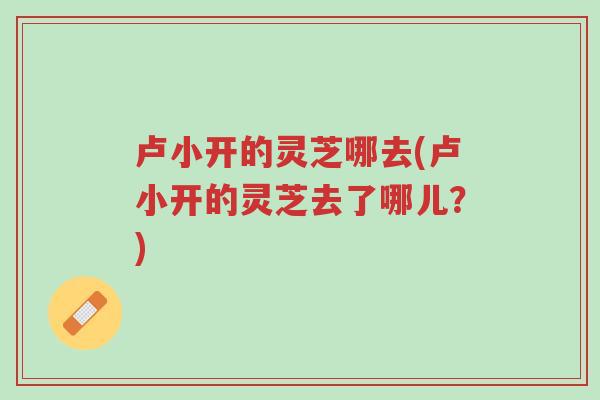 卢小开的灵芝哪去(卢小开的灵芝去了哪儿?)-第1张图片-超越 卢小开的灵芝哪去(卢小开的灵芝去了哪儿?)-第1张图片-超越
