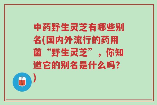中药野生灵芝有哪些别名(国内外流行的药用菌“野生灵芝”,你知道它的别名是什么吗?)-第1张图片-超越 中药野生灵芝有哪些别名(国内外流行的药用菌“野生灵芝”,你知道它的别名是什么吗?)-第1张图片-超越