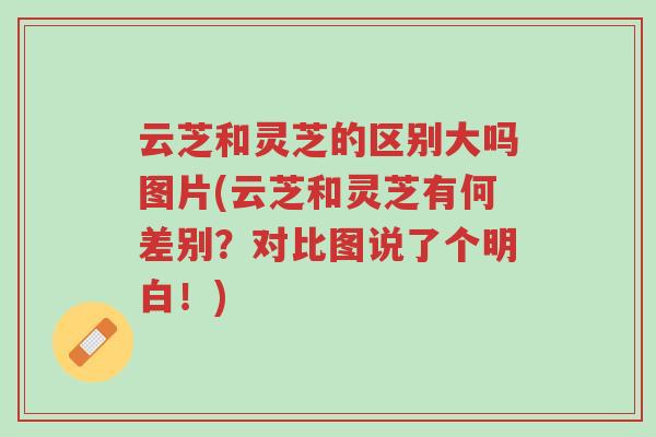 云芝和灵芝的区别大吗图片(云芝和灵芝有何差别?对比图说了个明白!)-第1张图片-超越 云芝和灵芝的区别大吗图片(云芝和灵芝有何差别?对比图说了个明白!)-第1张图片-超越