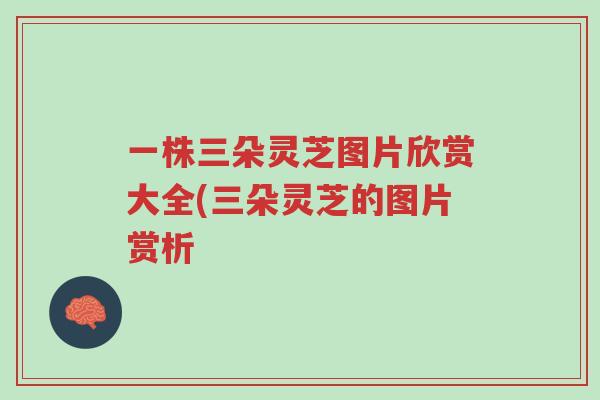 一株三朵灵芝图片欣赏大全(三朵灵芝的图片赏析-第1张图片-超越 一株三朵灵芝图片欣赏大全(三朵灵芝的图片赏析-第1张图片-超越