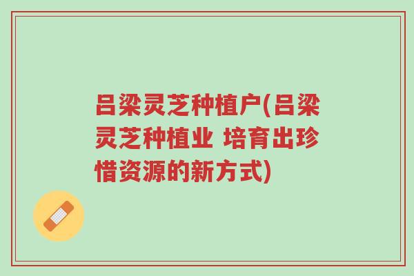 吕梁灵芝种植户(吕梁灵芝种植业 培育出珍惜资源的新方式)-第1张图片-超越 吕梁灵芝种植户(吕梁灵芝种植业 培育出珍惜资源的新方式)-第1张图片-超越