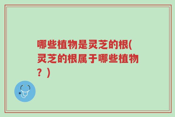 哪些植物是灵芝的根(灵芝的根属于哪些植物?)-第1张图片-超越 哪些植物是灵芝的根(灵芝的根属于哪些植物?)-第1张图片-超越