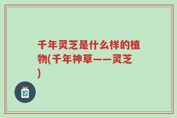 千年灵芝是什么样的植物(千年神草——灵芝)-第1张图片-超越 千年灵芝是什么样的植物(千年神草——灵芝)-第1张图片-超越