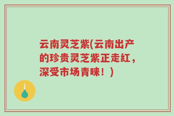 云南灵芝紫(云南出产的珍贵灵芝紫正走红,深受市场青睐!)-第1张图片-超越 云南灵芝紫(云南出产的珍贵灵芝紫正走红,深受市场青睐!)-第1张图片-超越