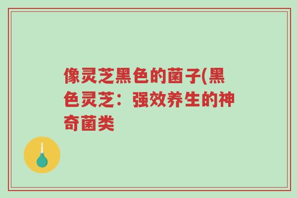 像灵芝黑色的菌子(黑色灵芝:强效养生的神奇菌类-第1张图片-超越 像灵芝黑色的菌子(黑色灵芝:强效养生的神奇菌类-第1张图片-超越