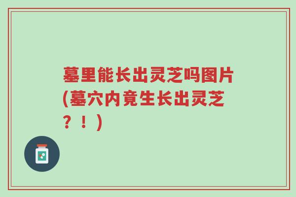 墓里能长出灵芝吗图片(墓穴内竟生长出灵芝?!)-第1张图片-超越 墓里能长出灵芝吗图片(墓穴内竟生长出灵芝?!)-第1张图片-超越