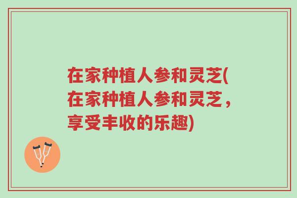 在家种植人参和灵芝(在家种植人参和灵芝,享受丰收的乐趣)-第1张图片-超越 在家种植人参和灵芝(在家种植人参和灵芝,享受丰收的乐趣)-第1张图片-超越