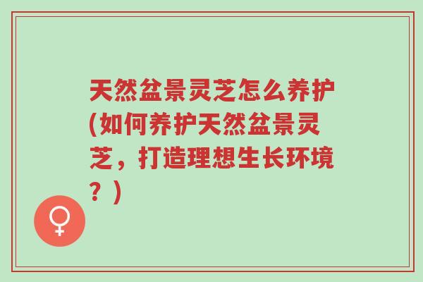 天然盆景灵芝怎么养护(如何养护天然盆景灵芝,打造理想生长环境?)-第1张图片-超越 天然盆景灵芝怎么养护(如何养护天然盆景灵芝,打造理想生长环境?)-第1张图片-超越