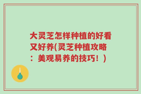 大灵芝怎样种植的好看又好养(灵芝种植攻略:美观易养的技巧!)-第1张图片-超越 大灵芝怎样种植的好看又好养(灵芝种植攻略:美观易养的技巧!)-第1张图片-超越