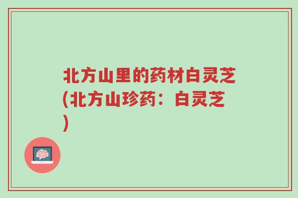 北方山里的药材白灵芝(北方山珍药:白灵芝)-第1张图片-超越 北方山里的药材白灵芝(北方山珍药:白灵芝)-第1张图片-超越