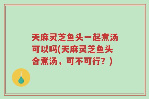 天麻灵芝鱼头一起煮汤可以吗(天麻灵芝鱼头合煮汤，可不可行？)-第1张图片-超越