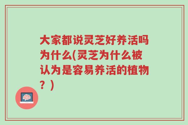 大家都说灵芝好养活吗为什么(灵芝为什么被认为是容易养活的植物？)-第1张图片-超越