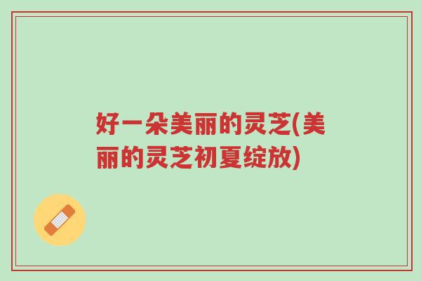 好一朵美丽的灵芝(美丽的灵芝初夏绽放)-第1张图片-超越 好一朵美丽的灵芝(美丽的灵芝初夏绽放)-第1张图片-超越