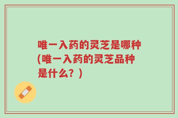 唯一入药的灵芝是哪种(唯一入药的灵芝品种是什么?)-第1张图片-超越 唯一入药的灵芝是哪种(唯一入药的灵芝品种是什么?)-第1张图片-超越