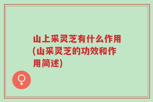 山上采灵芝有什么作用(山采灵芝的功效和作用简述)-第1张图片-超越 山上采灵芝有什么作用(山采灵芝的功效和作用简述)-第1张图片-超越