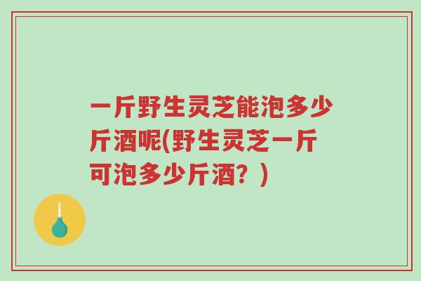 一斤野生灵芝能泡多少斤酒呢(野生灵芝一斤可泡多少斤酒？)-第1张图片-超越