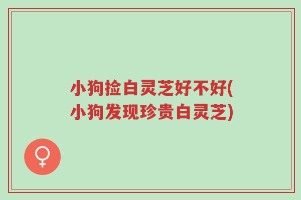 小狗捡白灵芝好不好(小狗发现珍贵白灵芝)-第1张图片-超越 小狗捡白灵芝好不好(小狗发现珍贵白灵芝)-第1张图片-超越