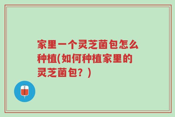 家里一个灵芝菌包怎么种植(如何种植家里的灵芝菌包?)-第1张图片-超越 家里一个灵芝菌包怎么种植(如何种植家里的灵芝菌包?)-第1张图片-超越