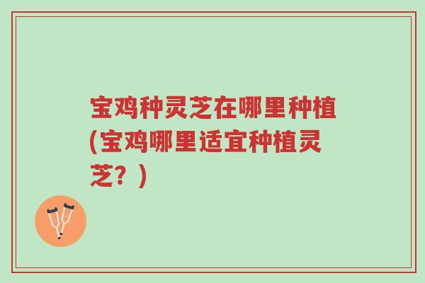宝鸡种灵芝在哪里种植(宝鸡哪里适宜种植灵芝?)-第1张图片-超越 宝鸡种灵芝在哪里种植(宝鸡哪里适宜种植灵芝?)-第1张图片-超越