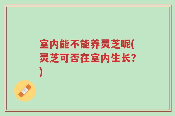室内能不能养灵芝呢(灵芝可否在室内生长?)-第1张图片-超越 室内能不能养灵芝呢(灵芝可否在室内生长?)-第1张图片-超越