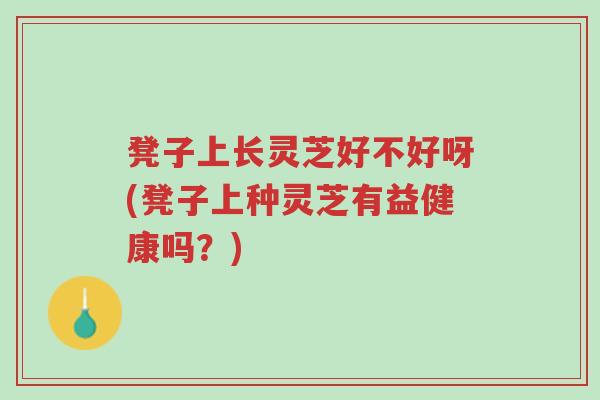 凳子上长灵芝好不好呀(凳子上种灵芝有益健康吗?)-第1张图片-超越 凳子上长灵芝好不好呀(凳子上种灵芝有益健康吗?)-第1张图片-超越