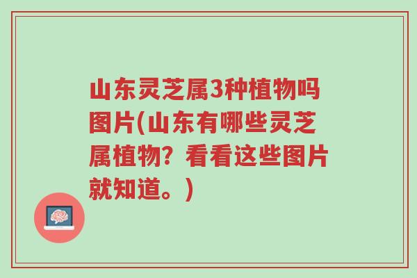 山东灵芝属3种植物吗图片(山东有哪些灵芝属植物？看看这些图片就知道。)-第1张图片-超越