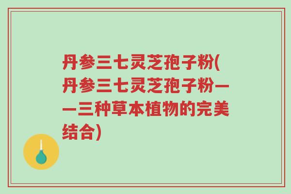 丹参三七灵芝孢子粉(丹参三七灵芝孢子粉——三种草本植物的完美结合)-第1张图片-超越 丹参三七灵芝孢子粉(丹参三七灵芝孢子粉——三种草本植物的完美结合)-第1张图片-超越