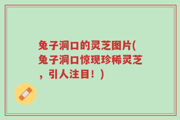 兔子洞口的灵芝图片(兔子洞口惊现珍稀灵芝,引人注目!)-第1张图片-超越 兔子洞口的灵芝图片(兔子洞口惊现珍稀灵芝,引人注目!)-第1张图片-超越