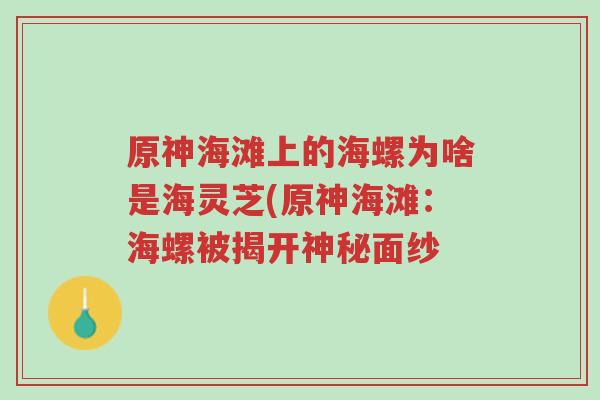 原神海滩上的海螺为啥是海灵芝(原神海滩:海螺被揭开神秘面纱-第1张图片-超越 原神海滩上的海螺为啥是海灵芝(原神海滩:海螺被揭开神秘面纱-第1张图片-超越