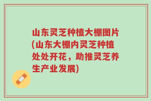 山东灵芝种植大棚图片(山东大棚内灵芝种植处处开花，助推灵芝养生产业发展)-第1张图片-超越