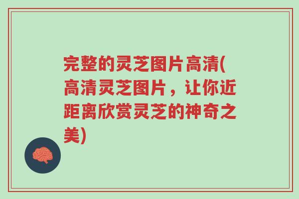 完整的灵芝图片高清(高清灵芝图片,让你近距离欣赏灵芝的神奇之美)-第1张图片-超越 完整的灵芝图片高清(高清灵芝图片,让你近距离欣赏灵芝的神奇之美)-第1张图片-超越