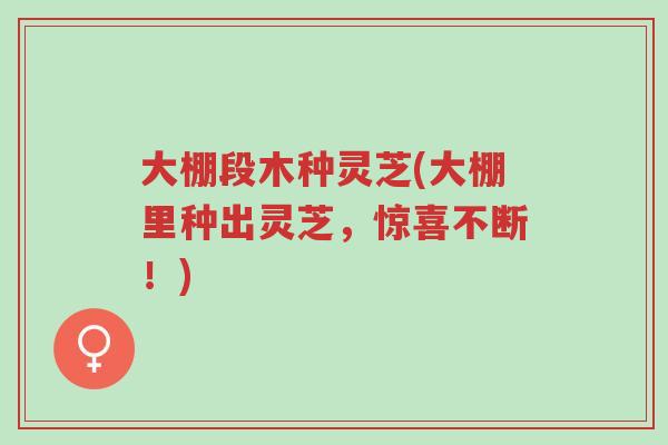 大棚段木种灵芝(大棚里种出灵芝,惊喜不断!)-第1张图片-超越 大棚段木种灵芝(大棚里种出灵芝,惊喜不断!)-第1张图片-超越