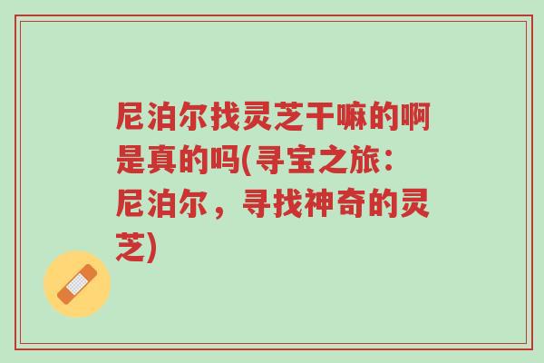尼泊尔找灵芝干嘛的啊是真的吗(寻宝之旅:尼泊尔,寻找神奇的灵芝)-第1张图片-超越 尼泊尔找灵芝干嘛的啊是真的吗(寻宝之旅:尼泊尔,寻找神奇的灵芝)-第1张图片-超越