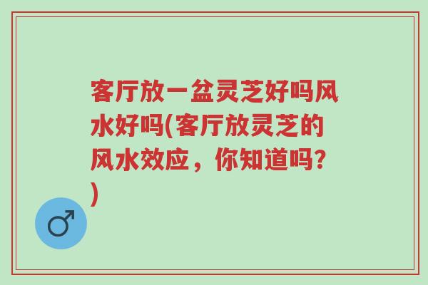 客厅放一盆灵芝好吗风水好吗(客厅放灵芝的风水效应,你知道吗?)-第1张图片-超越 客厅放一盆灵芝好吗风水好吗(客厅放灵芝的风水效应,你知道吗?)-第1张图片-超越