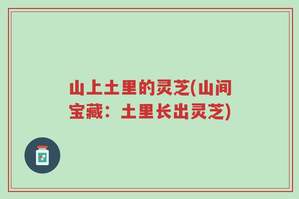 山上土里的灵芝(山间宝藏:土里长出灵芝)-第1张图片-超越 山上土里的灵芝(山间宝藏:土里长出灵芝)-第1张图片-超越