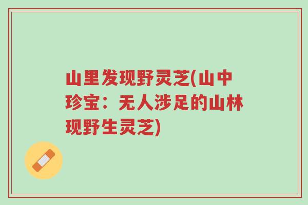 山里发现野灵芝(山中珍宝：无人涉足的山林现野生灵芝)-第1张图片-超越
