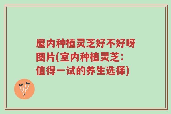 屋内种植灵芝好不好呀图片(室内种植灵芝：值得一试的养生选择)-第1张图片-超越