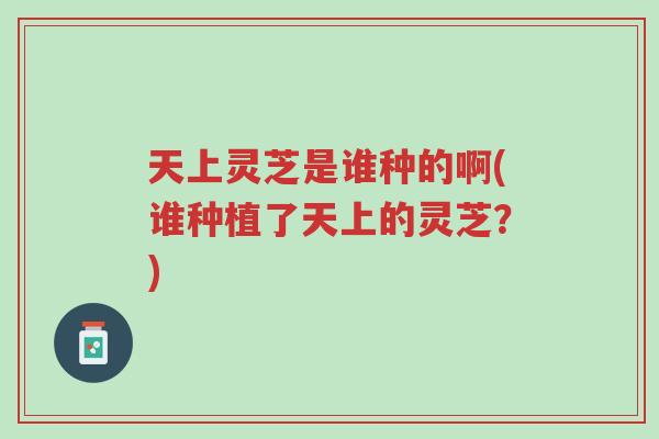 天上灵芝是谁种的啊(谁种植了天上的灵芝?)-第1张图片-超越 天上灵芝是谁种的啊(谁种植了天上的灵芝?)-第1张图片-超越