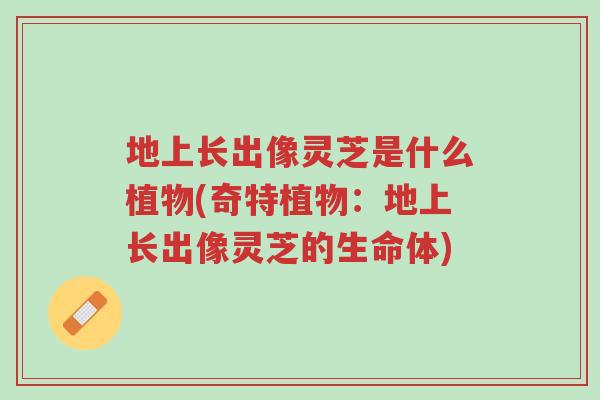 地上长出像灵芝是什么植物(奇特植物：地上长出像灵芝的生命体)-第1张图片-超越