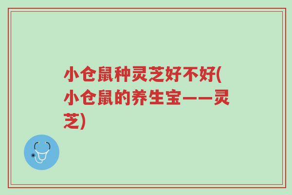 小仓鼠种灵芝好不好(小仓鼠的养生宝——灵芝)-第1张图片-超越 小仓鼠种灵芝好不好(小仓鼠的养生宝——灵芝)-第1张图片-超越