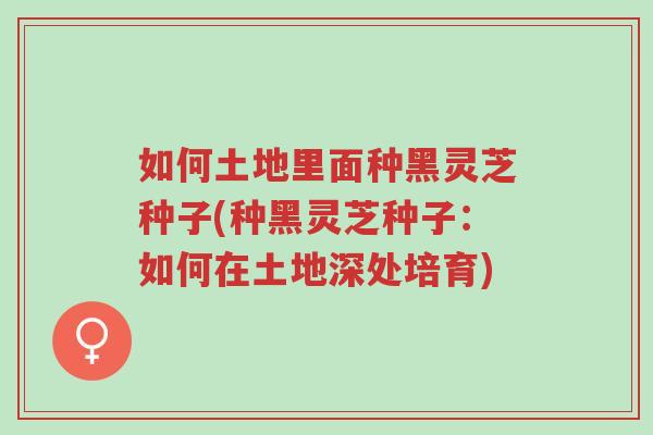 如何土地里面种黑灵芝种子(种黑灵芝种子：如何在土地深处培育)-第1张图片-超越