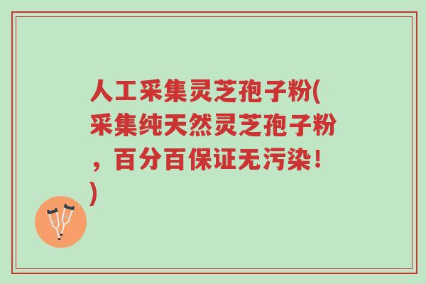 人工采集灵芝孢子粉(采集纯天然灵芝孢子粉，百分百保证无污染！)-第1张图片-超越