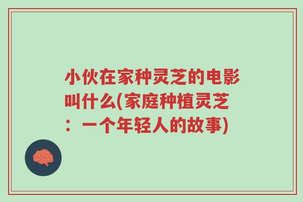 小伙在家种灵芝的电影叫什么(家庭种植灵芝:一个年轻人的故事)-第1张图片-超越 小伙在家种灵芝的电影叫什么(家庭种植灵芝:一个年轻人的故事)-第1张图片-超越