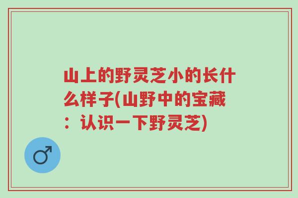 山上的野灵芝小的长什么样子(山野中的宝藏：认识一下野灵芝)-第1张图片-超越