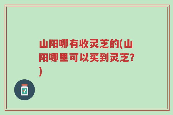 山阳哪有收灵芝的(山阳哪里可以买到灵芝?)-第1张图片-超越 山阳哪有收灵芝的(山阳哪里可以买到灵芝?)-第1张图片-超越