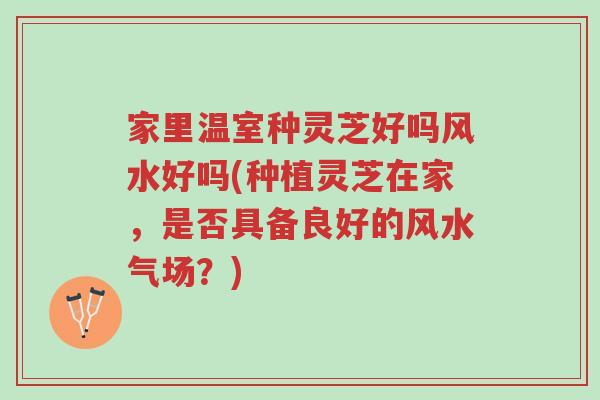 家里温室种灵芝好吗风水好吗(种植灵芝在家,是否具备良好的风水气场?)-第1张图片-超越 家里温室种灵芝好吗风水好吗(种植灵芝在家,是否具备良好的风水气场?)-第1张图片-超越