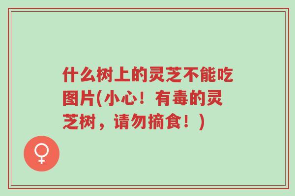什么树上的灵芝不能吃图片(小心!有毒的灵芝树,请勿摘食!)-第1张图片-超越 什么树上的灵芝不能吃图片(小心!有毒的灵芝树,请勿摘食!)-第1张图片-超越