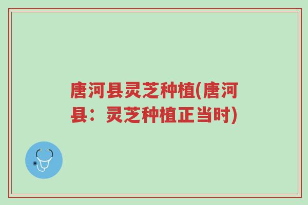 唐河县灵芝种植(唐河县:灵芝种植正当时)-第1张图片-超越 唐河县灵芝种植(唐河县:灵芝种植正当时)-第1张图片-超越