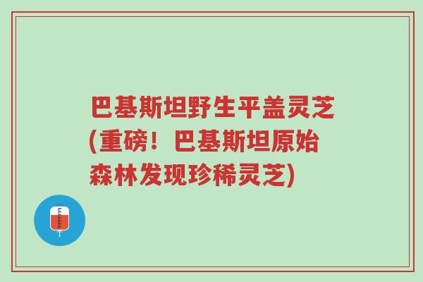 巴基斯坦野生平盖灵芝(重磅!巴基斯坦原始森林发现珍稀灵芝)-第1张图片-超越 巴基斯坦野生平盖灵芝(重磅!巴基斯坦原始森林发现珍稀灵芝)-第1张图片-超越