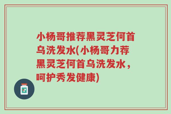 小杨哥推荐黑灵芝何首乌洗发水(小杨哥力荐黑灵芝何首乌洗发水,呵护秀发健康)-第1张图片-超越 小杨哥推荐黑灵芝何首乌洗发水(小杨哥力荐黑灵芝何首乌洗发水,呵护秀发健康)-第1张图片-超越